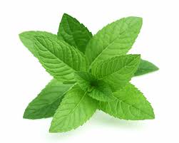 Doterra Borsmenta gyöngyöcskék (Peppermint oil beadlet)